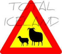 Total Iceland logo